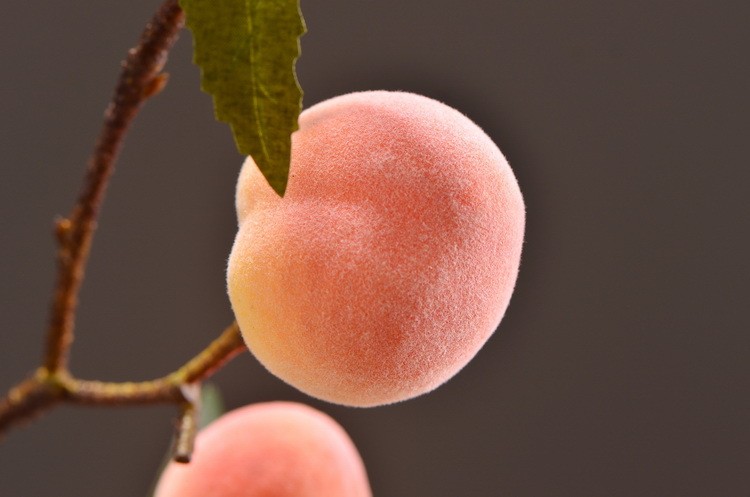 Lanjin Factory offers wholesale and direct sales of artificial flowers, Chinese-style decorative berries, peaches, artificial fruits, and foam artificial peaches detail image 10