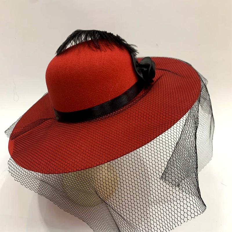 A lady's hat with feathers, two rose cloth flowers, a large brim covering the face detail image 1