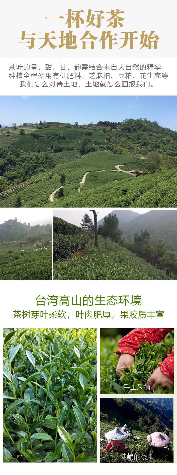 台湾阿里山碳焙乌龙茶详情图8