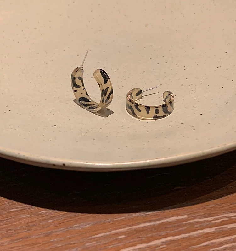 Acrylic fashion earrings Application Scenario