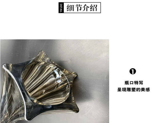 Imported Nordy-style crystal glass vase, large glass vase for hydroponic fresh flowers in the living room, creative ash ornaments detail image 2