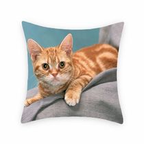 Cartoon animation short plush digital print pillowcase support custom sofa office pillow car back