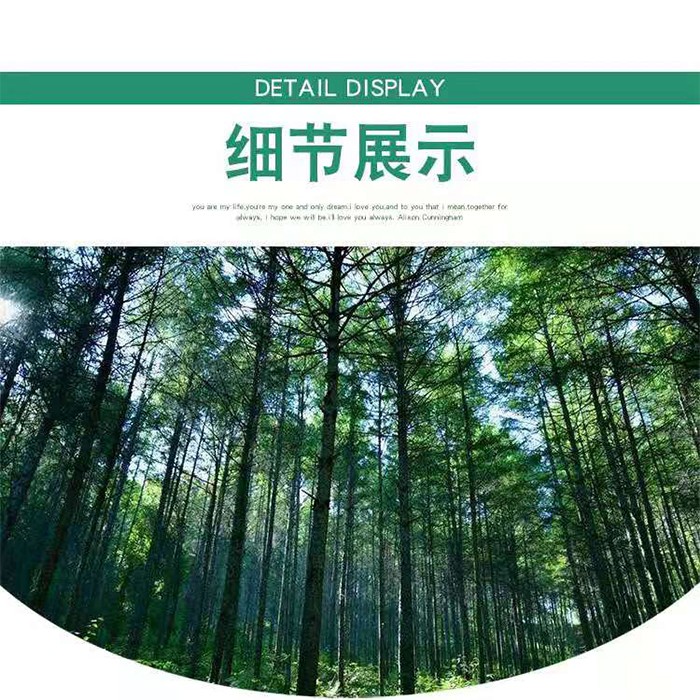 花架实木室内多层阳台装饰客厅置物花盆落地式花架A1015 二层架详情图1