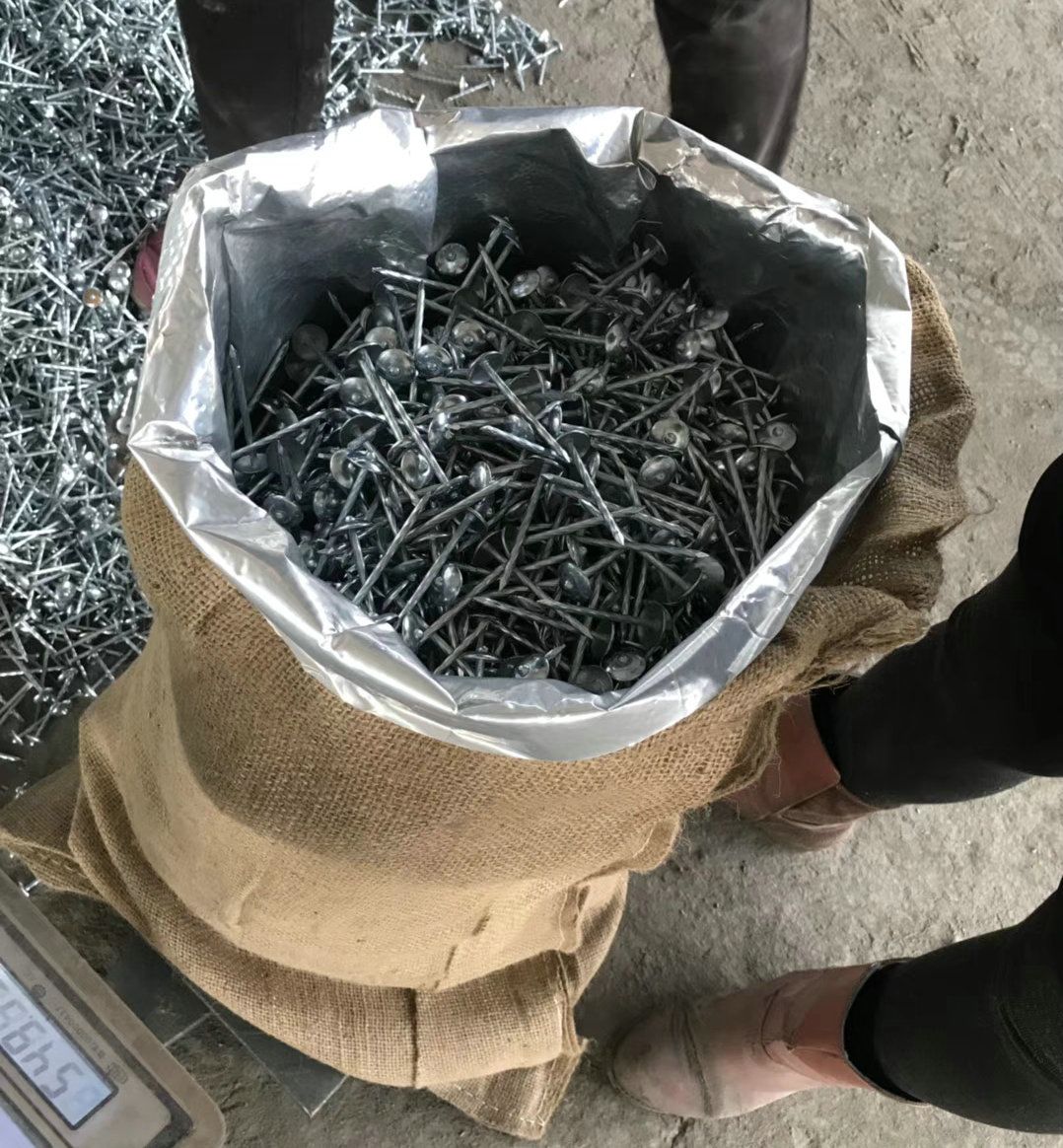 Corrugated nails in sacks, galvanized corrugated nails, professional export corrugated nails, Redlong Item Picture