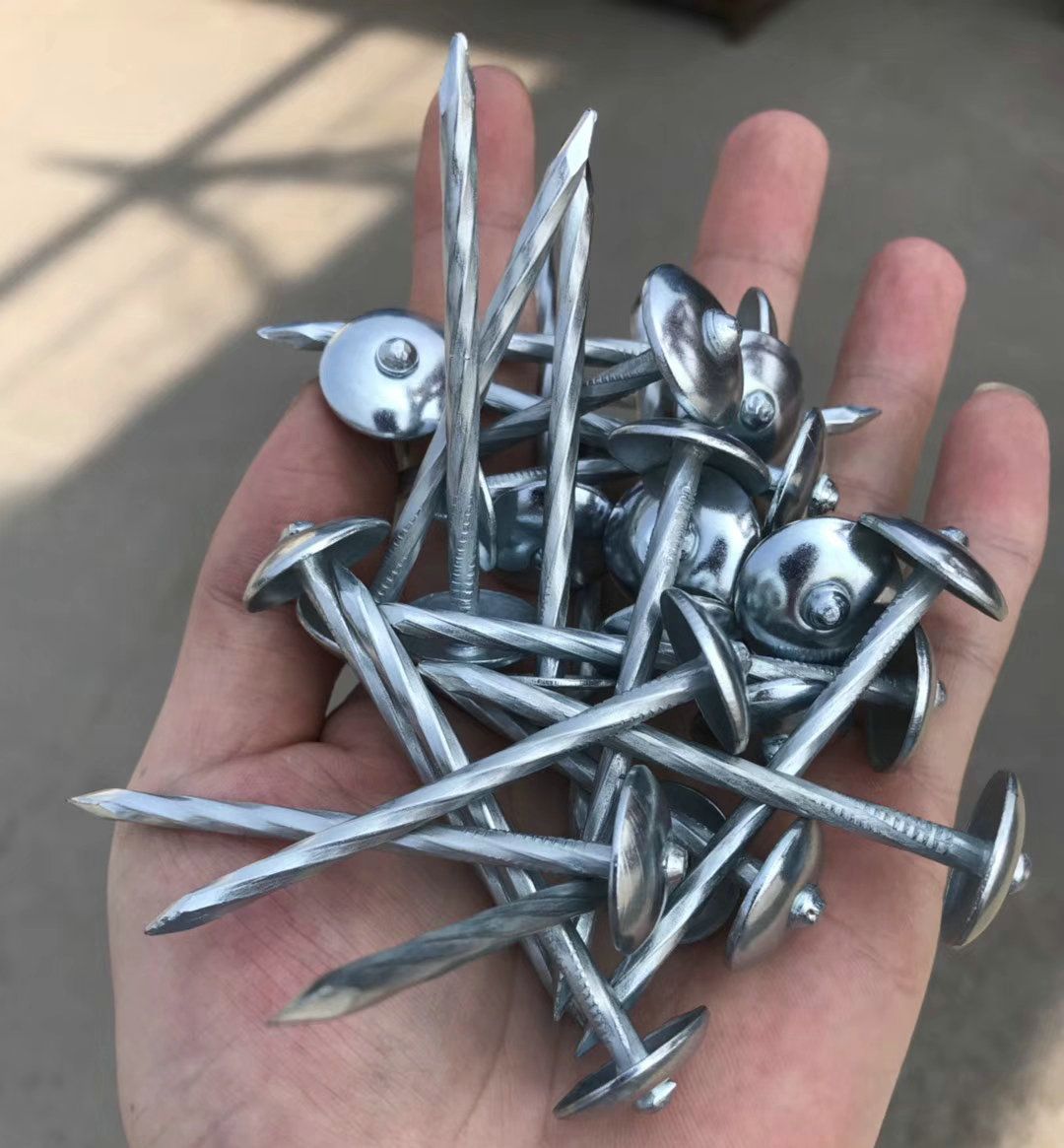 Redron corrugated nail galvanized hemp pole inside 8 boxes of 2.5"*BWG9G professional export