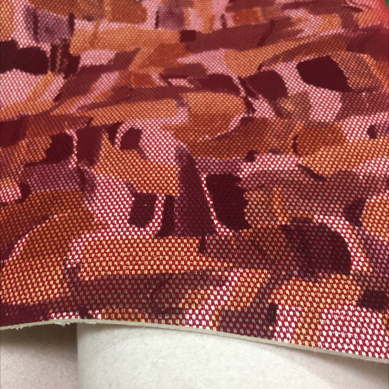 相机屏幕贴膜实物图