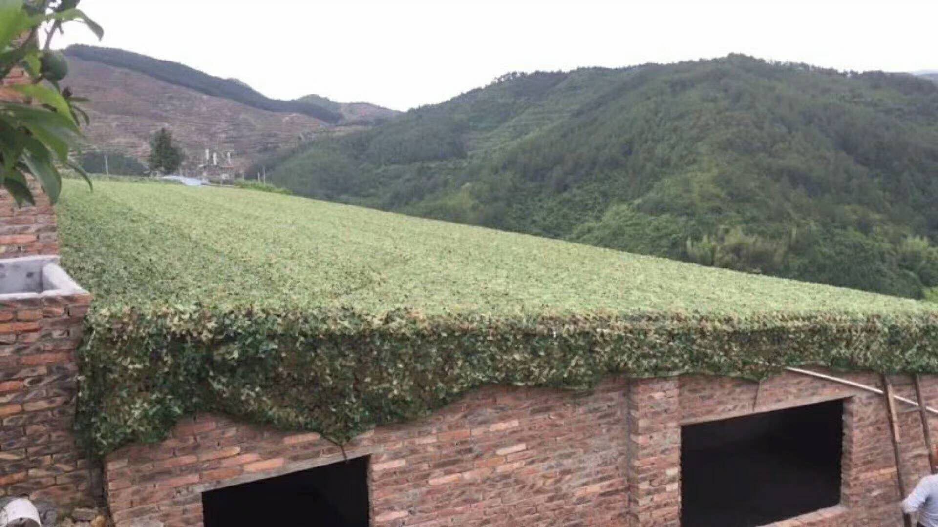 伪装网 丛林迷彩伪装网 伪装网遮阳网装饰迷彩网雷德隆详情图4