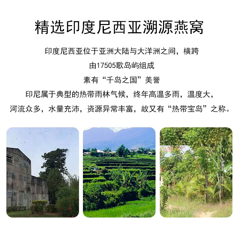 印尼025燕窝（燕盏）50g  营养品 进口燕窝详情2