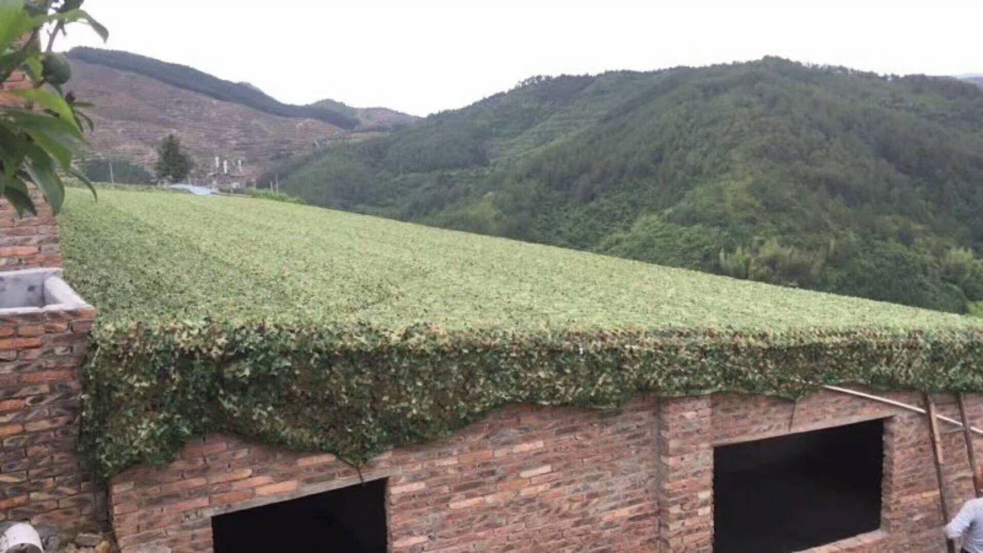 Yiwu Radlong camouflage net military camouflage cover net military camouflage