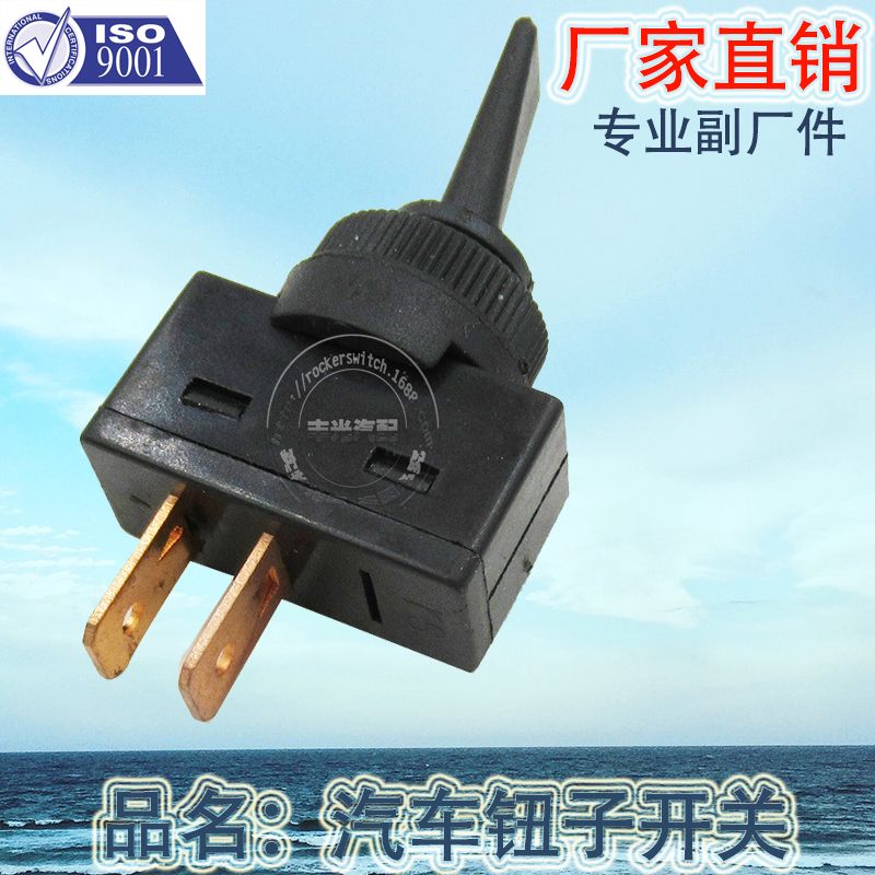 Manufacturers direct ON-OFF car button switch Car modification switch Car shaking head switch 2 pin ASW-26-101