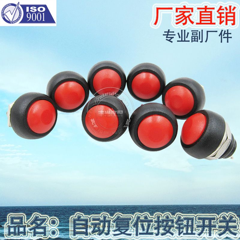 汽车开关/复位开关/汽车按钮细节图