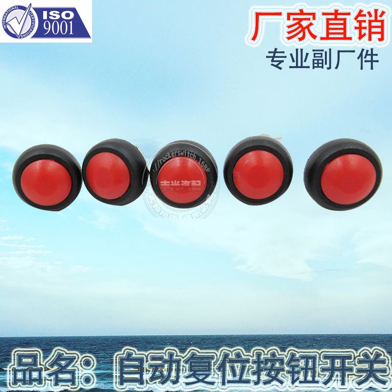 汽车开关/复位开关/汽车按钮产品图