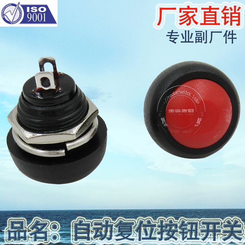 汽车开关/复位开关/汽车按钮白底实物图