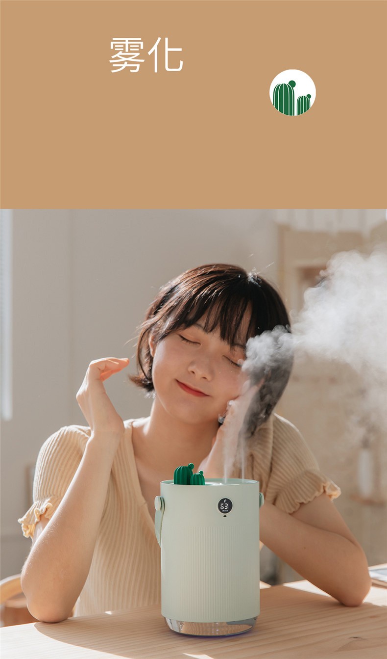 新款H1仙人掌双喷加湿器创意usb家用桌面便携小型双喷补水加湿器详情图5