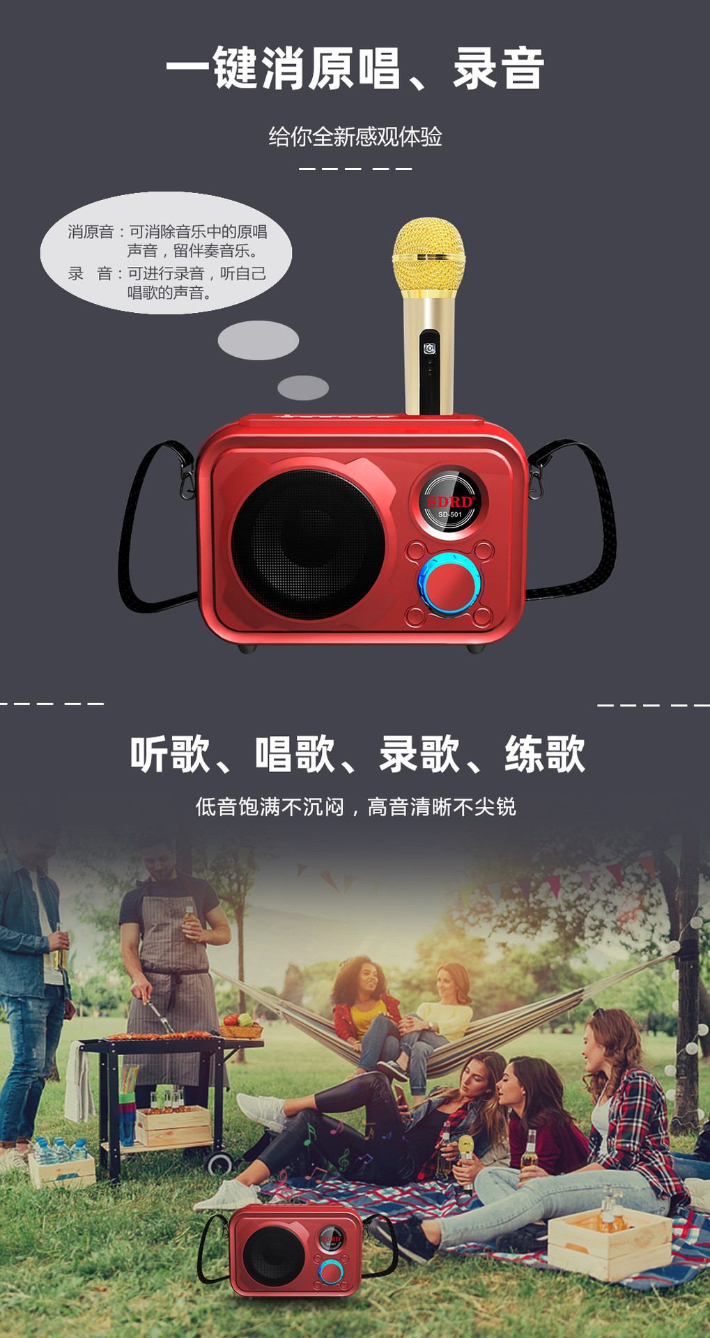 SDRD501 manufacturer wireless microphone, home outdoor ktv portable microphone, mobile phone Bluetooth speaker, karaoke machine detail image 2