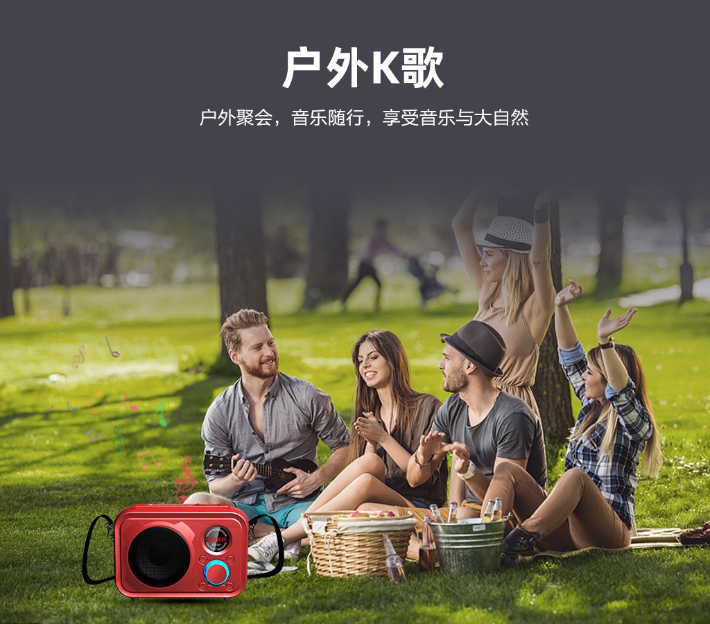 SDRD501 manufacturer wireless microphone, home outdoor ktv portable microphone, mobile phone Bluetooth speaker, karaoke machine detail image 7