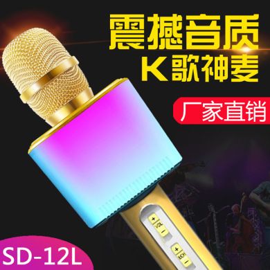 厂家直销新款SD-12L蓝牙手机K歌麦克风K歌宝 家庭ktv七彩无线话筒