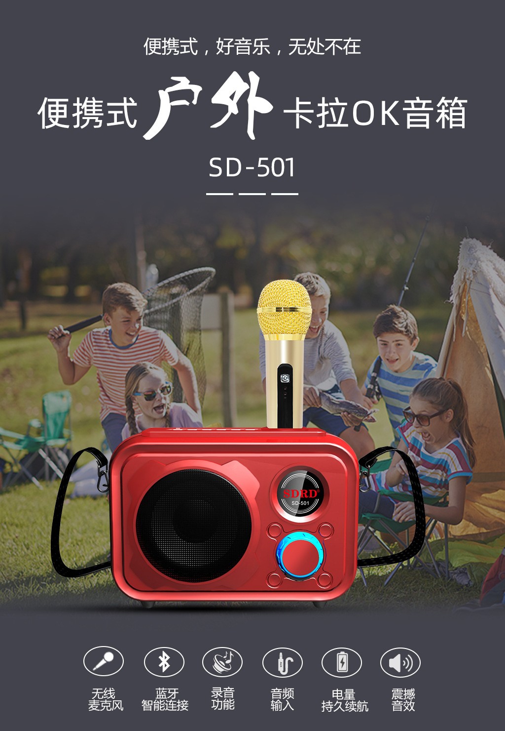 SDRD501 manufacturer wireless microphone, home outdoor ktv portable microphone, mobile phone Bluetooth speaker, karaoke machine detail image 1