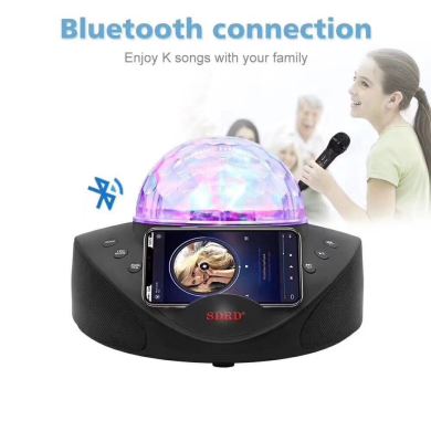 Factory direct sales of the new SD308 microphone for home use, KTV outdoor portable wireless live streaming microphone and Bluetooth speaker