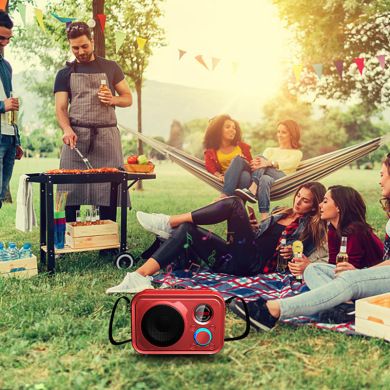SDRD501 manufacturer wireless microphone, home outdoor ktv portable microphone, mobile phone Bluetooth speaker, karaoke machine Application Scenario