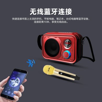 SDRD501 manufacturer wireless microphone, home outdoor ktv portable microphone, mobile phone Bluetooth speaker, karaoke machine details Picture
