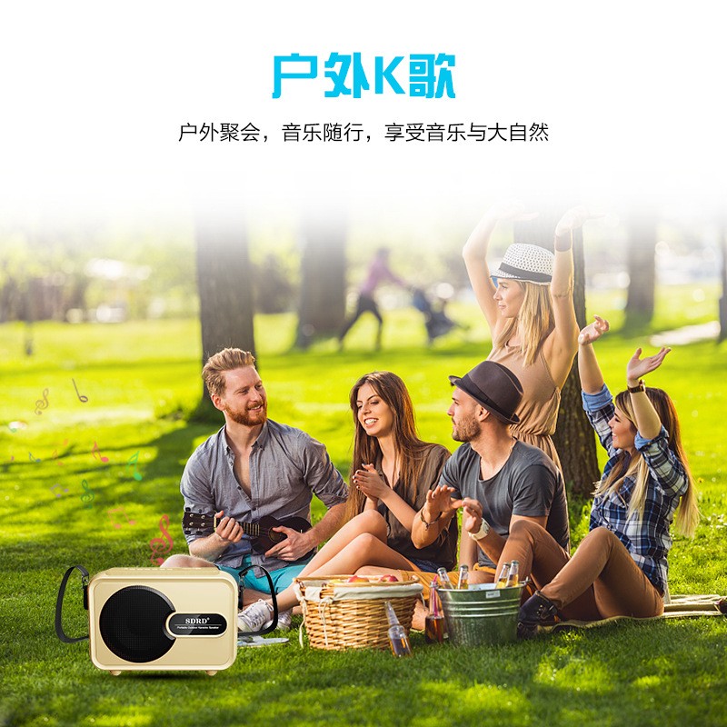 The new SD502 wireless microphone Bluetooth speaker all-in-one machine is suitable for home TV, KTV, children's karaoke and singing bar detail image 12