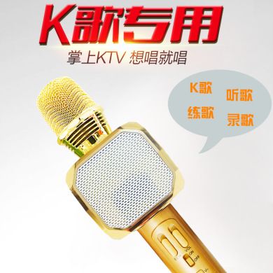 SDRD厂家直销SD-10L蓝牙手机K歌麦克风K歌宝家用ktv七彩无线话筒产品图