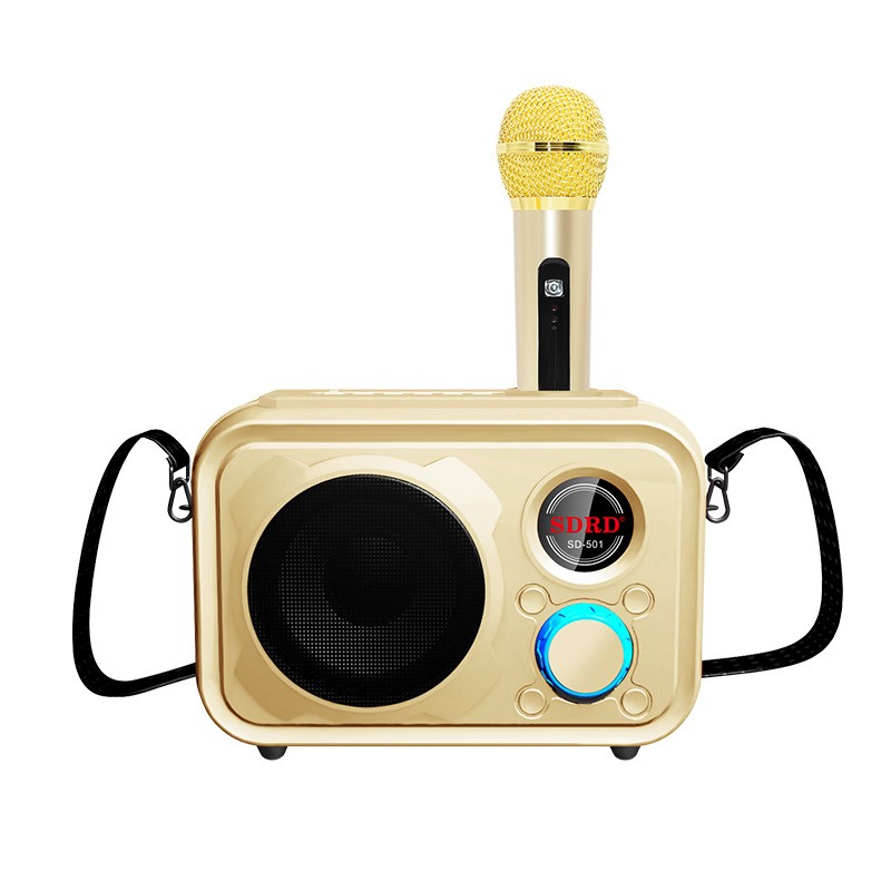 SDRD501 manufacturer wireless microphone, home outdoor ktv portable microphone, mobile phone Bluetooth speaker, karaoke machine detail image 13