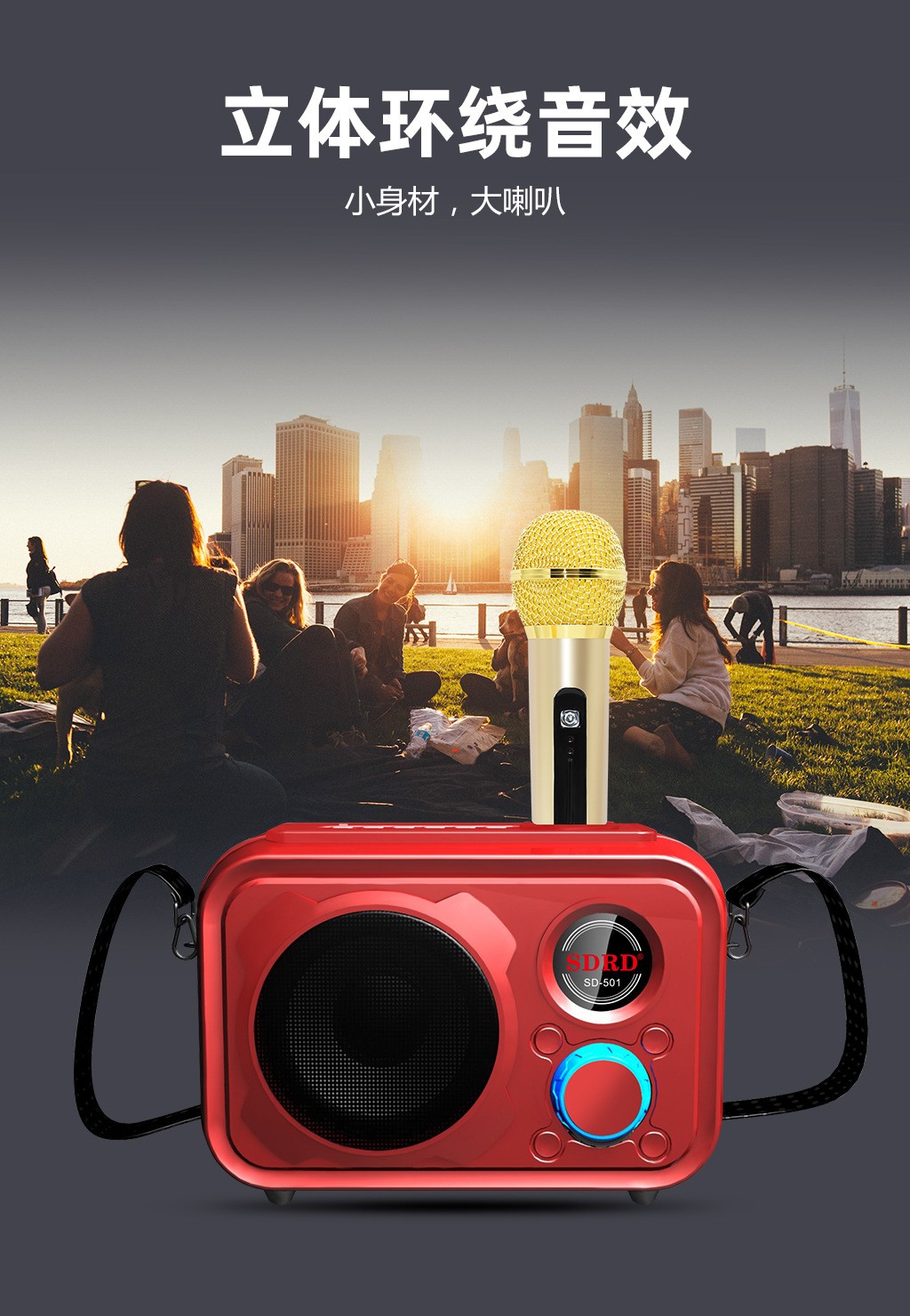 SDRD501 manufacturer wireless microphone, home outdoor ktv portable microphone, mobile phone Bluetooth speaker, karaoke machine detail image 4