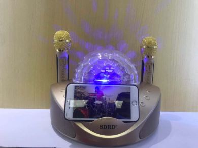 Factory direct sales of the new SD308 microphone for home use, KTV outdoor portable wireless live streaming microphone and Bluetooth speaker details Picture