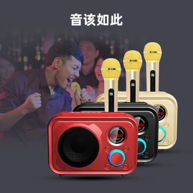 SDRD501 manufacturer wireless microphone, home outdoor ktv portable microphone, mobile phone Bluetooth speaker, karaoke machine Specification image