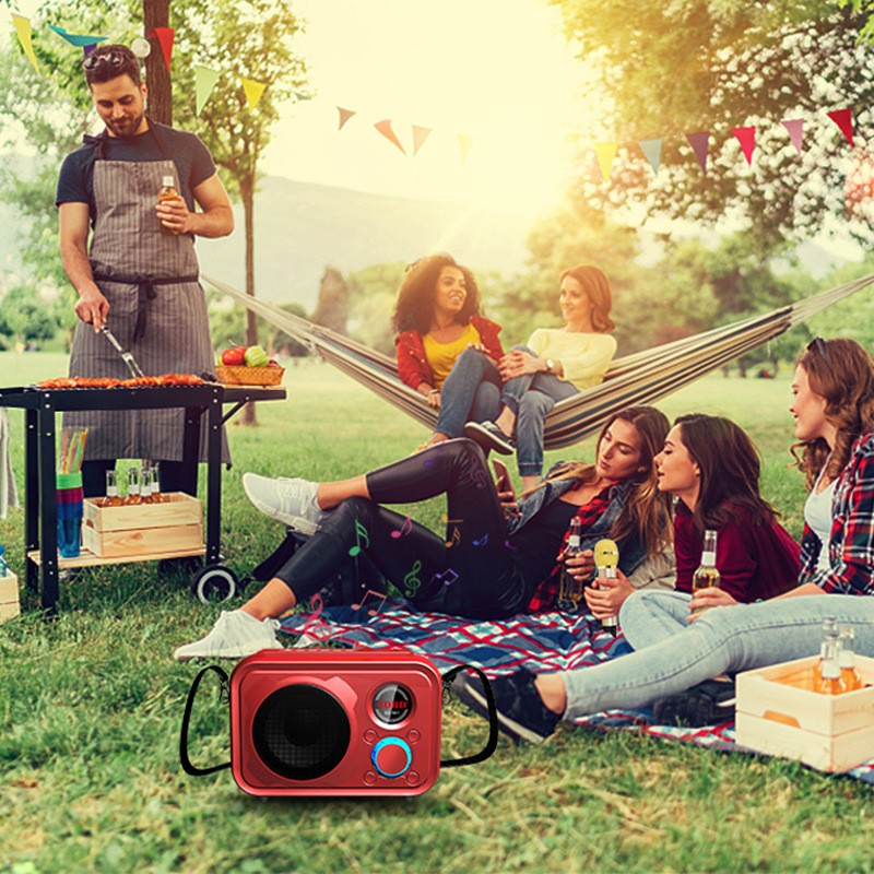 SDRD501 manufacturer wireless microphone, home outdoor ktv portable microphone, mobile phone Bluetooth speaker, karaoke machine detail image 12