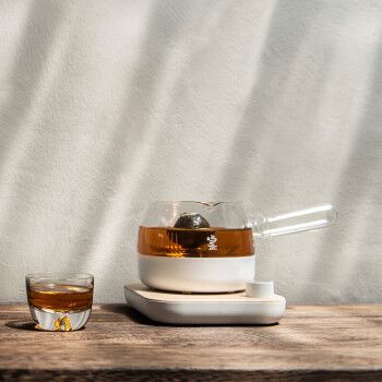 鸣盏 养生壶煮茶器煮茶壶迷你玻璃花茶壶热水壶烧水壶电热水壶侧把壶MZ-072T