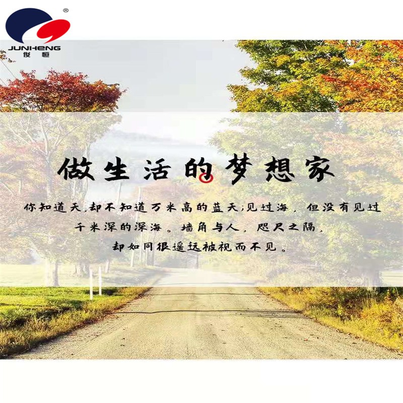 实木墙角置物架扇形隔板卧室墙角墙面墙上置物架免打孔壁挂书架详情图2
