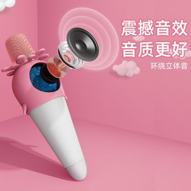 والميكروفون المحمول في الميكروفون KTV Specification image