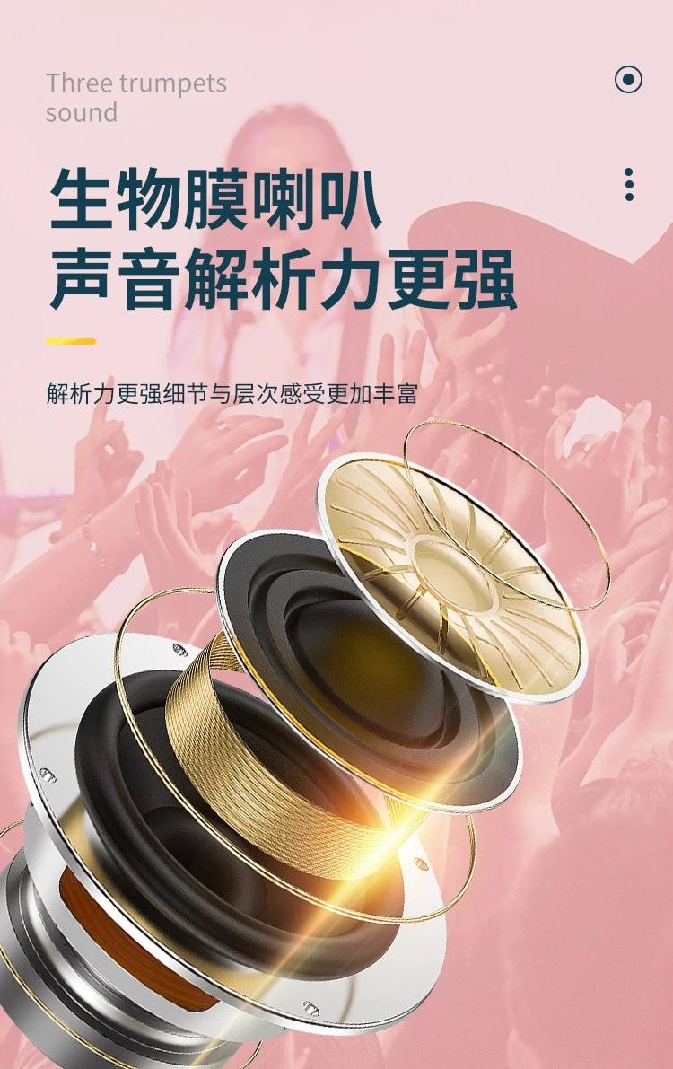 L858 Handheld microphone, speaker all-in-one microphone, mobile phone Bluetooth wireless, home singing condenser microphone detail image 10
