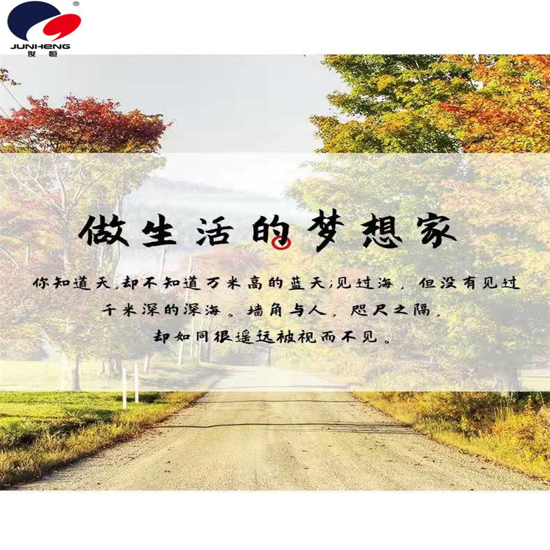 实木墙角置物架三角形扇形隔板墙壁挂墙角落拐角书架收纳架详情2