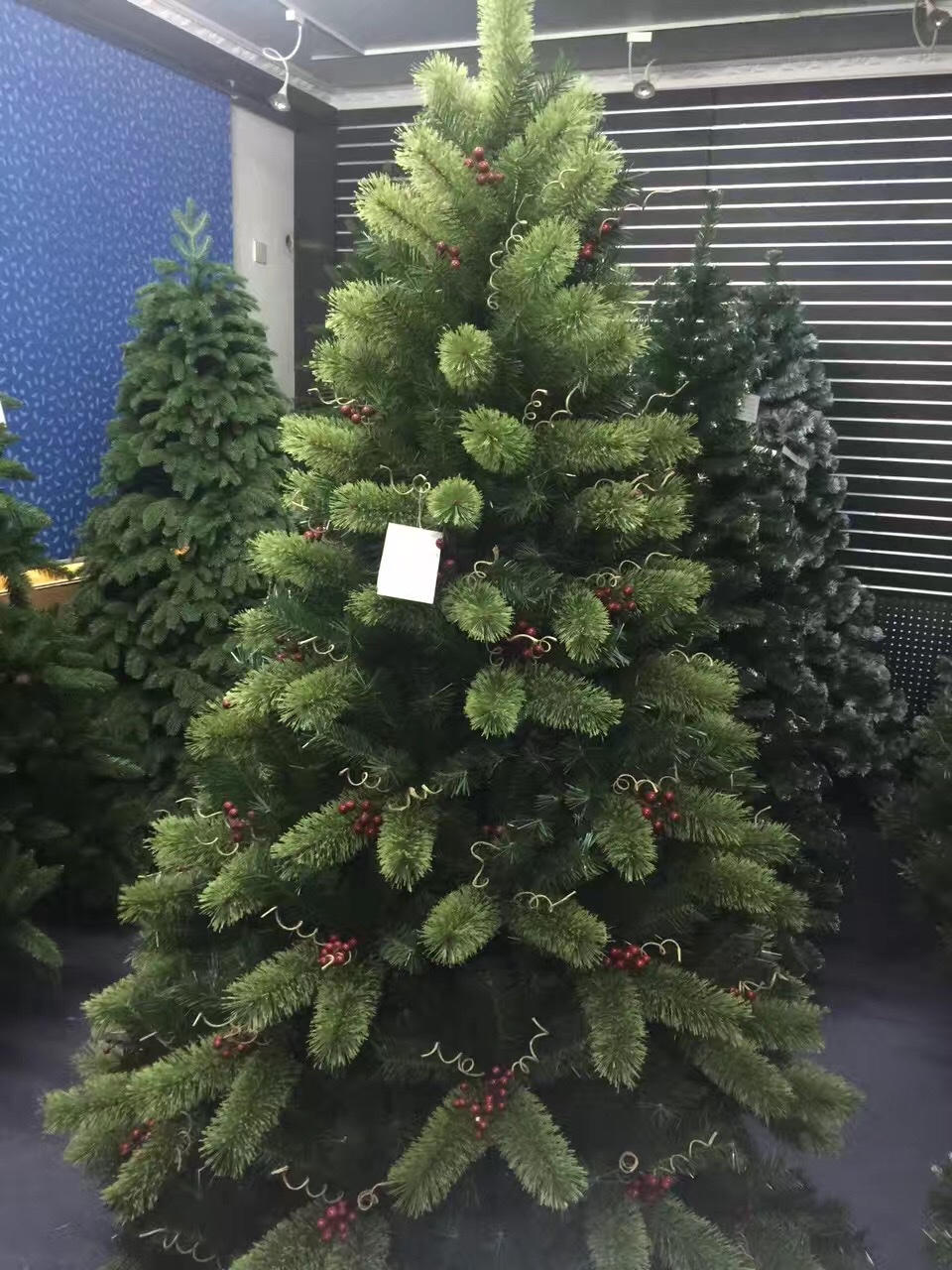 "Bright Christmas" describe pic - 5