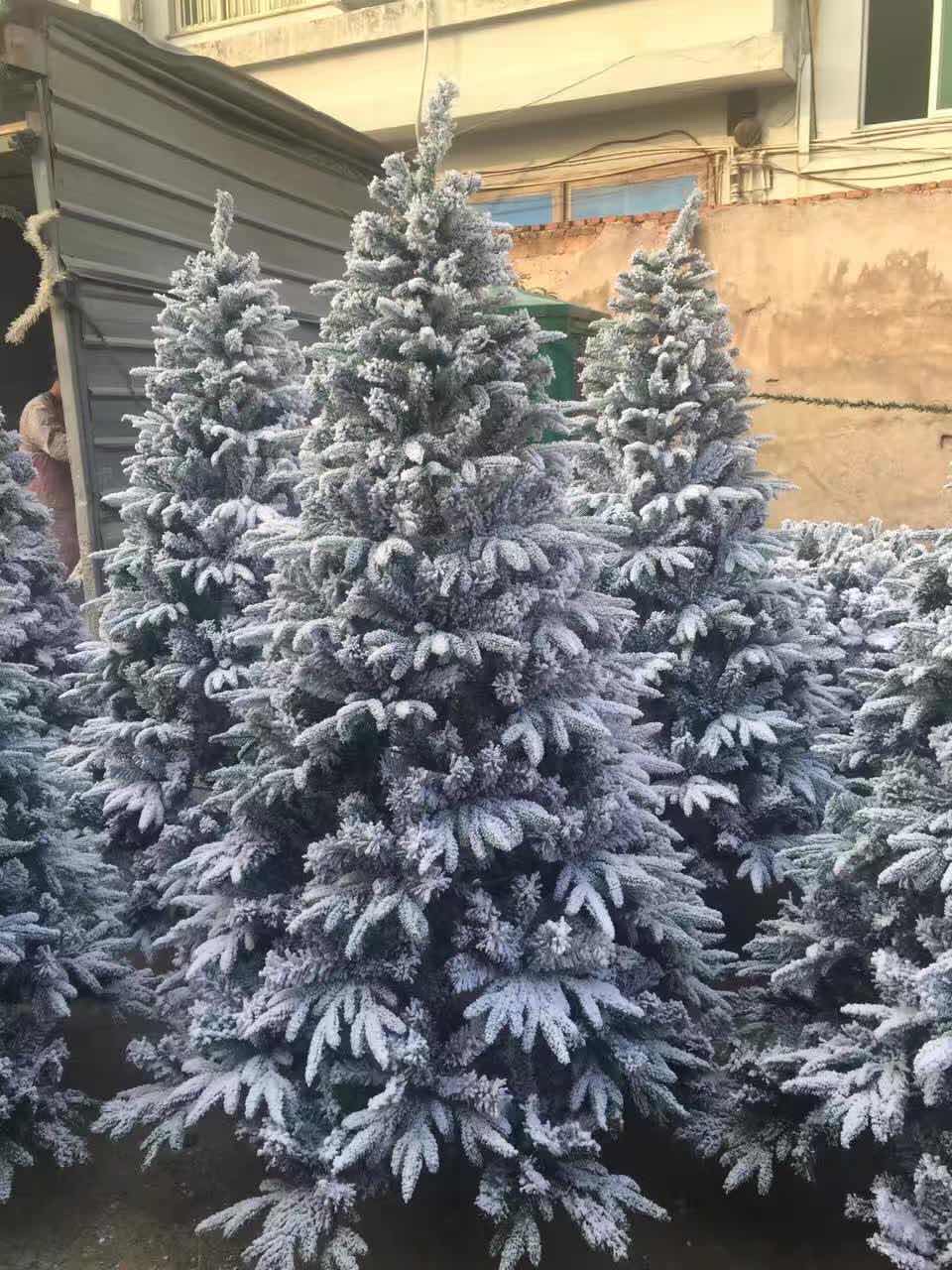 "Bright Christmas" describe pic - 1