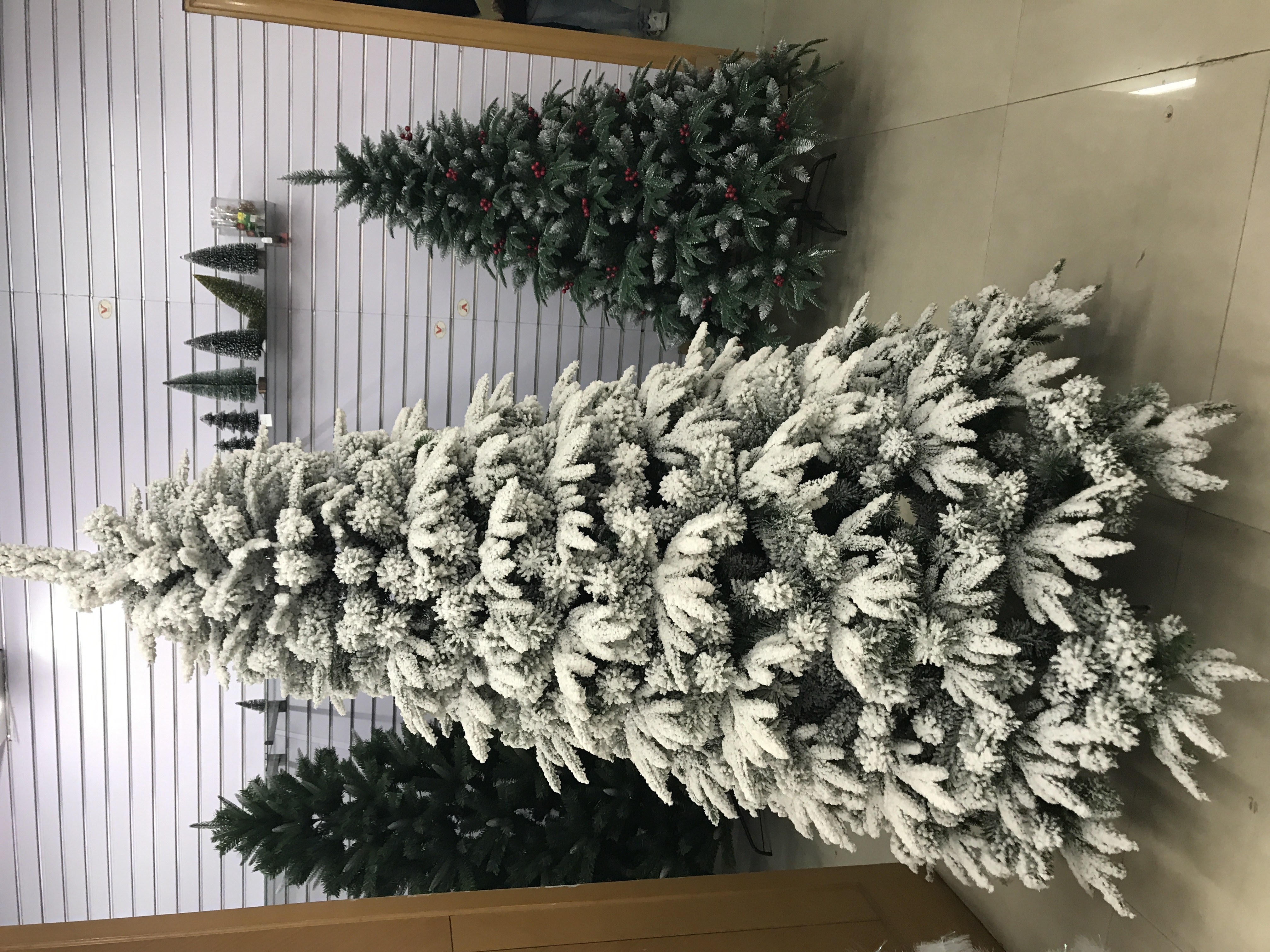 "Bright Christmas" describe pic - 9