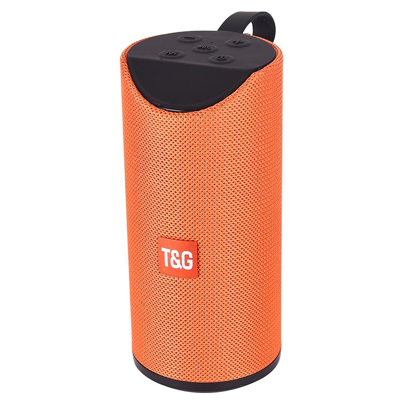 TG113 speaker detail image 12