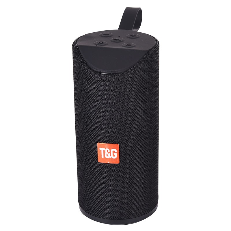 TG113 speaker detail image 17