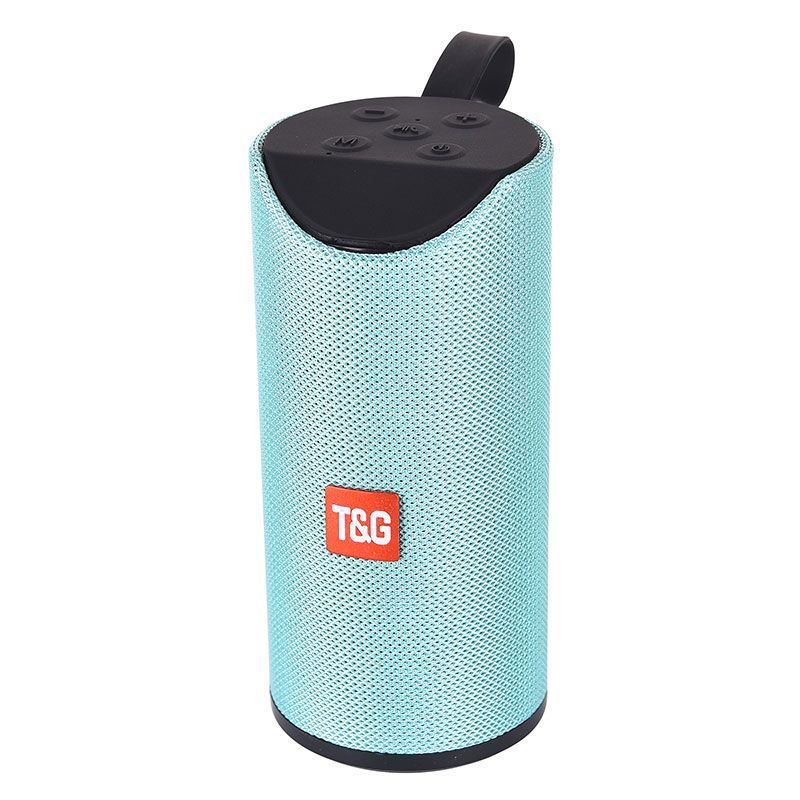 TG113 speaker details Picture