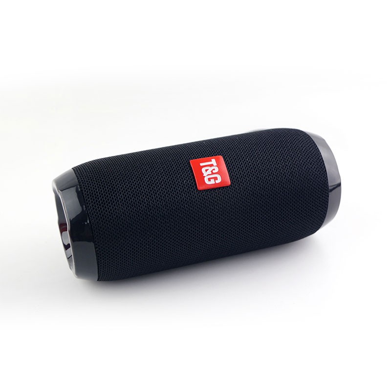 TG117 speaker detail image 4