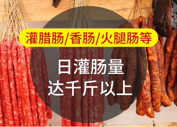 Fully automatic electric stainless steel 10L sausage stuffing machine detail image 1