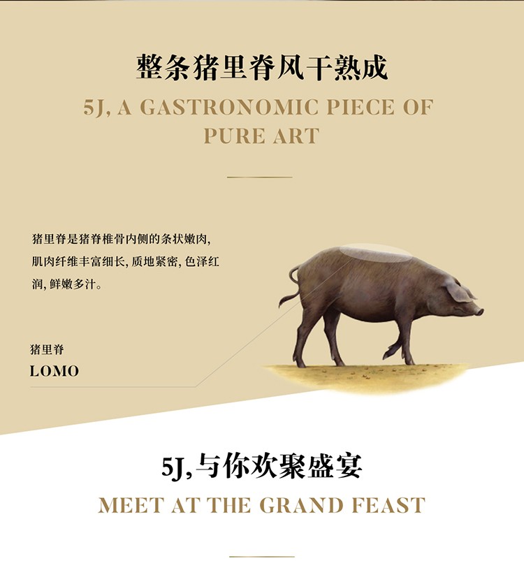 西班牙5J伊比利亚风干里脊肉肠 LOMO 纯种黑猪生吃即食香肠萨拉米详情图2