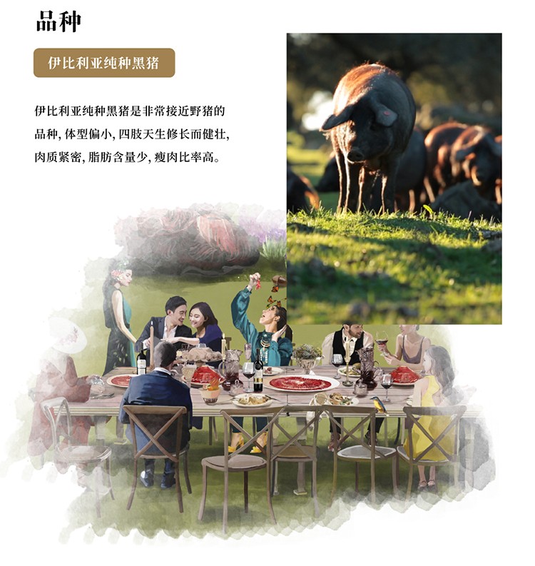 西班牙5J伊比利亚风干里脊肉肠 LOMO 纯种黑猪生吃即食香肠萨拉米详情图6
