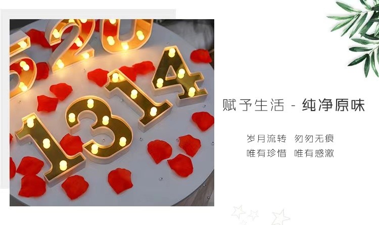 字母灯led亮面生日派对求婚道具拍照酒店名宿装饰详情图9