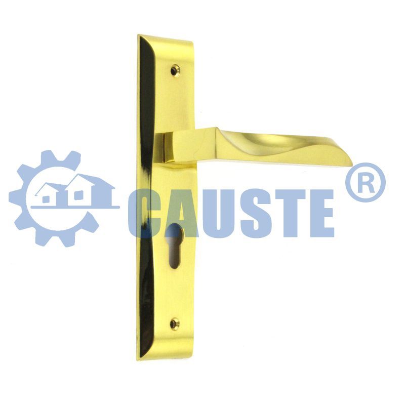 CAUSTE定制款式最新设计的Mortice门锁，带安全把手