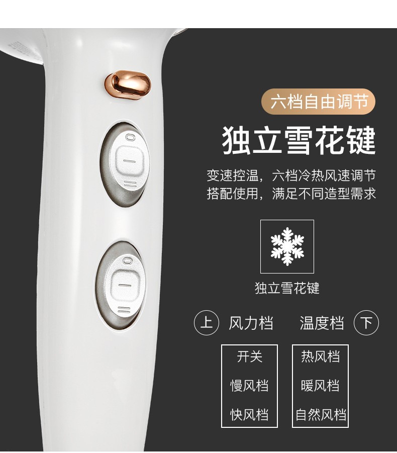 V-414 hair dryer, cross-border hair dryer, export hair dryer, European standard household hair dryer, hair salon hair dryer detail image 6